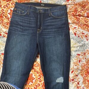 Hudson Jeans Blue Skinny Jeans with Distressed Detail